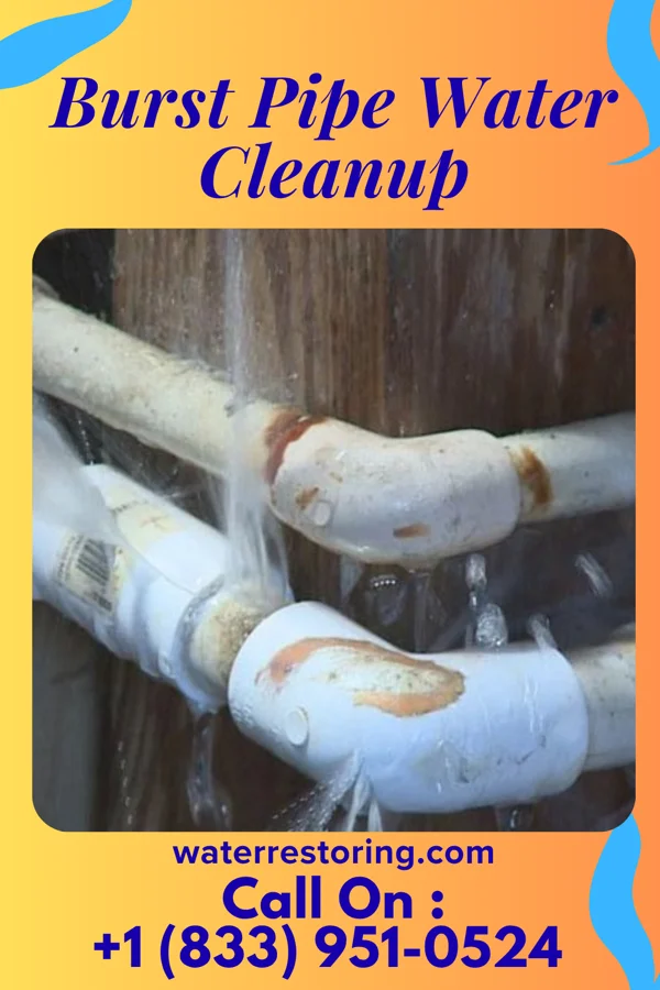Burst Pipe Water Cleanup in Monroe, MI