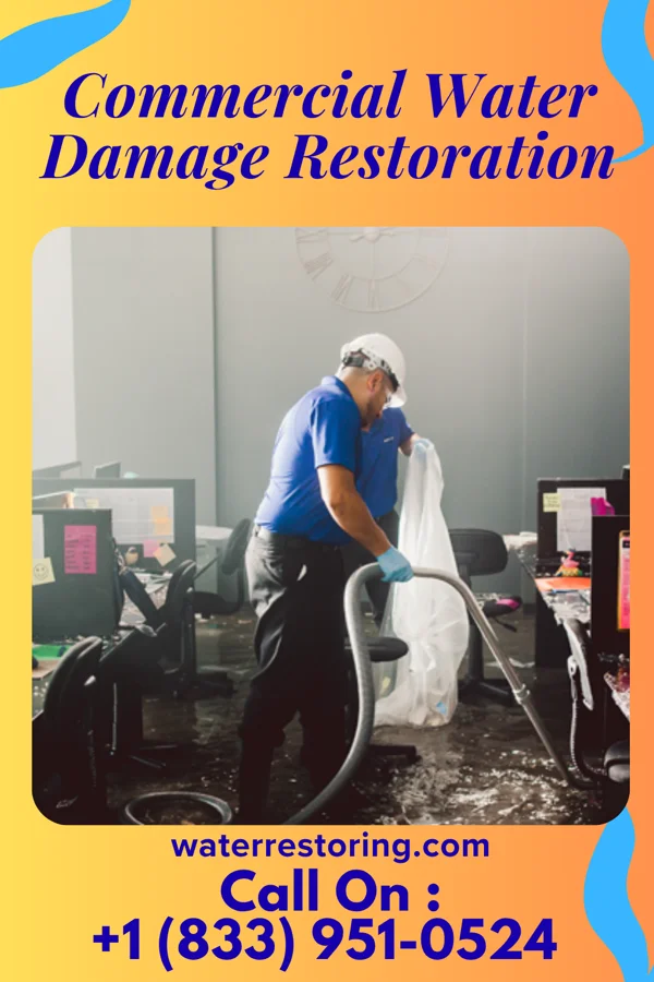 Commercial Water Damage Restoration in Monroe, MI
