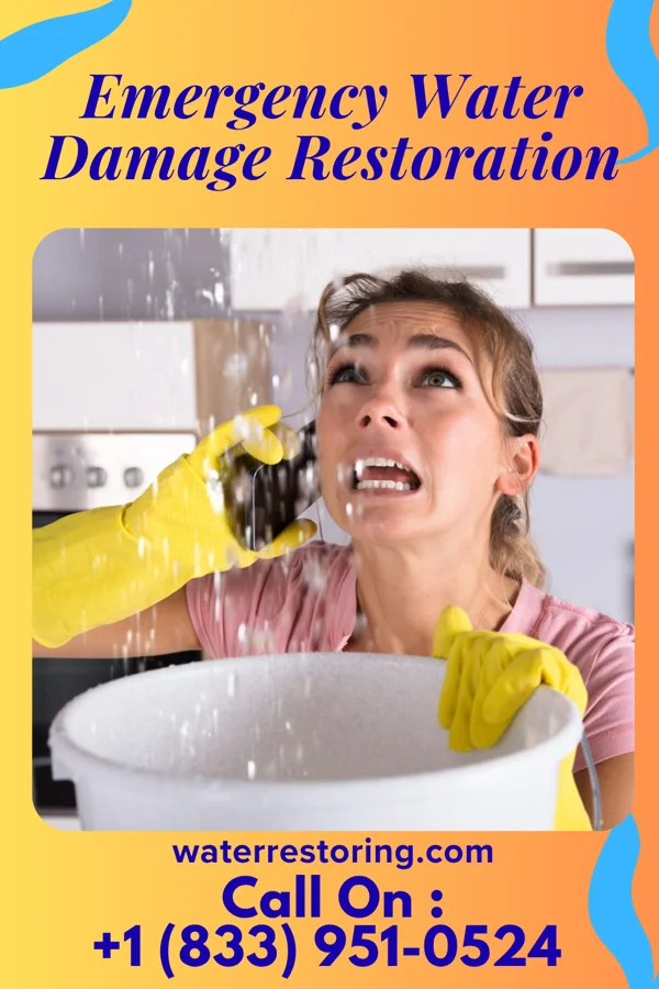 Emergency Water Damage Restoration in Monroe, MI