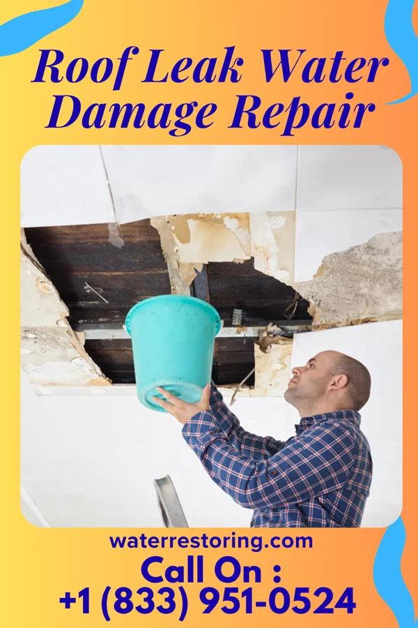 Roof Leak Water Damage Repair in Monroe, MI